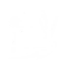 조화도 파괴 스펙트럼 분석