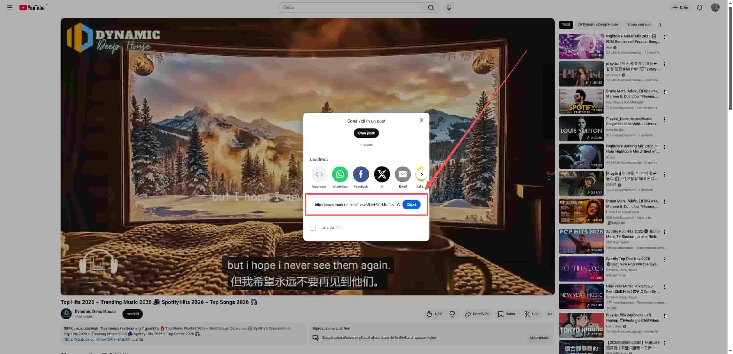 estrai audio da video youtube