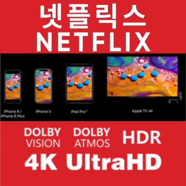 넷플릭스