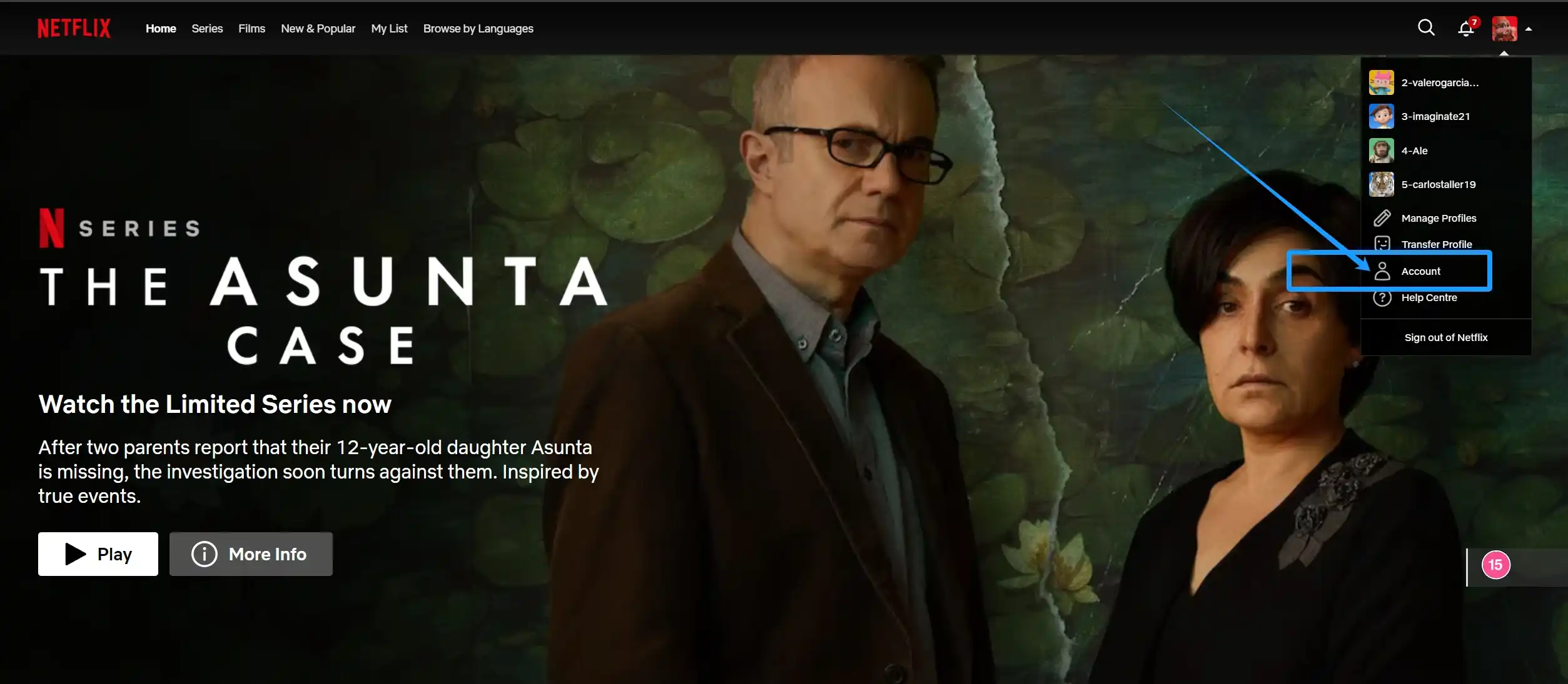 aprire la pagina account Netflix per impostare il PIN del profilo