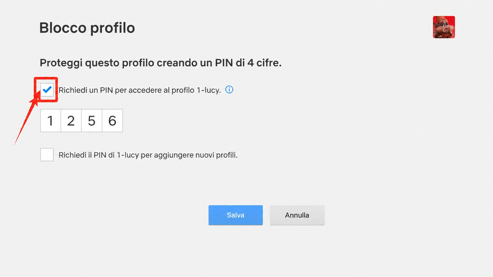 netflix account