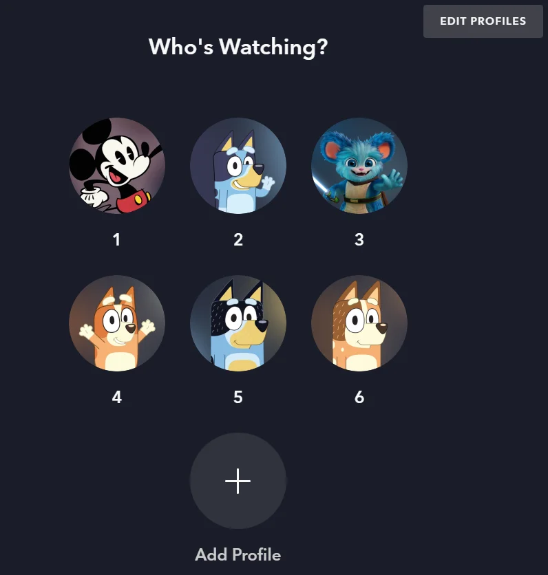 Disney+ profile screen example