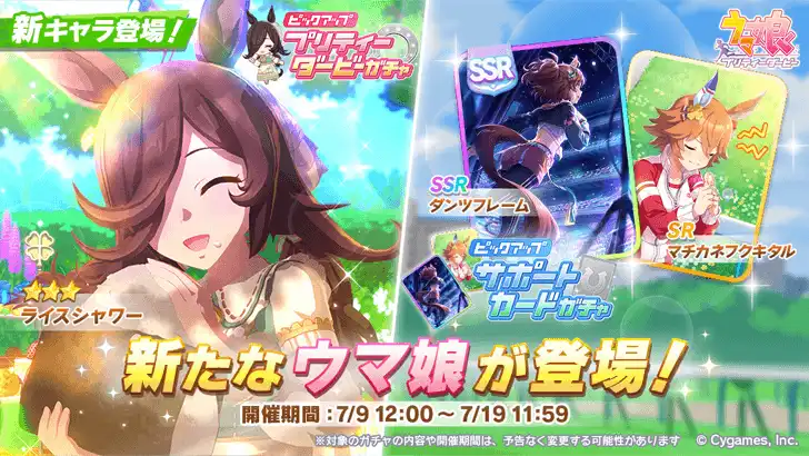 Rice Shower Food Festival banner