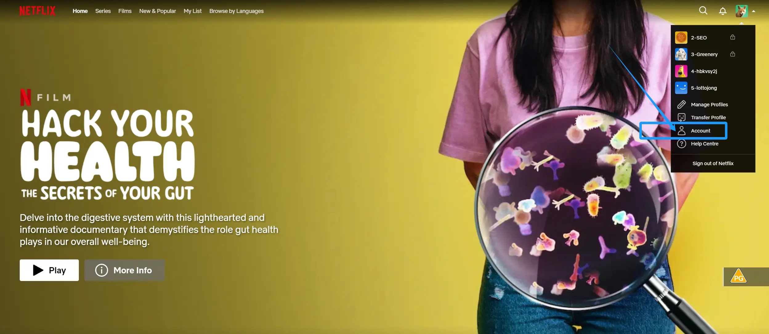 Pagina Account Netflix nella vecchia interfaccia
