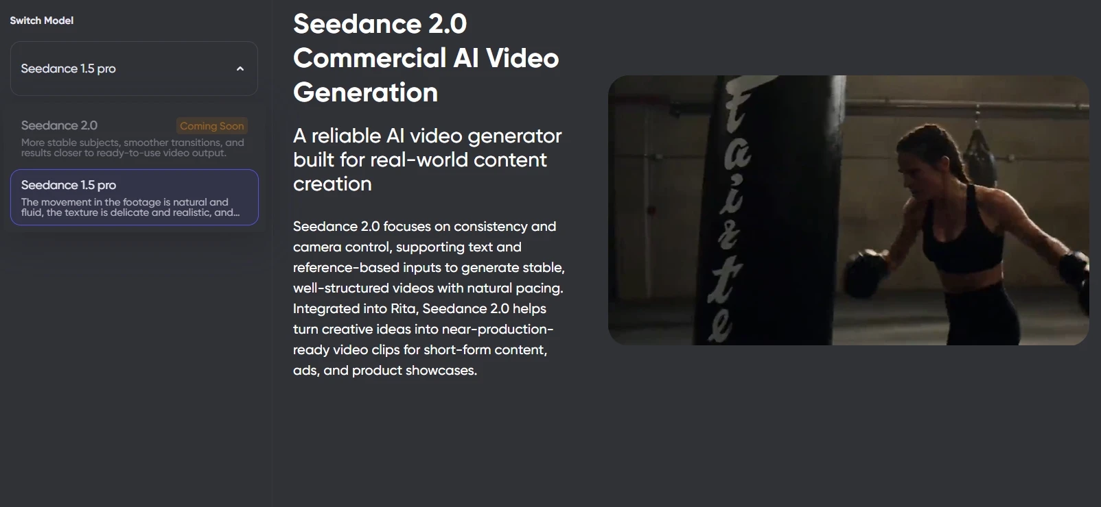 Using Seedance 2.0 on Rita AI
