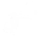 공명 스킬 린네식 아이디어