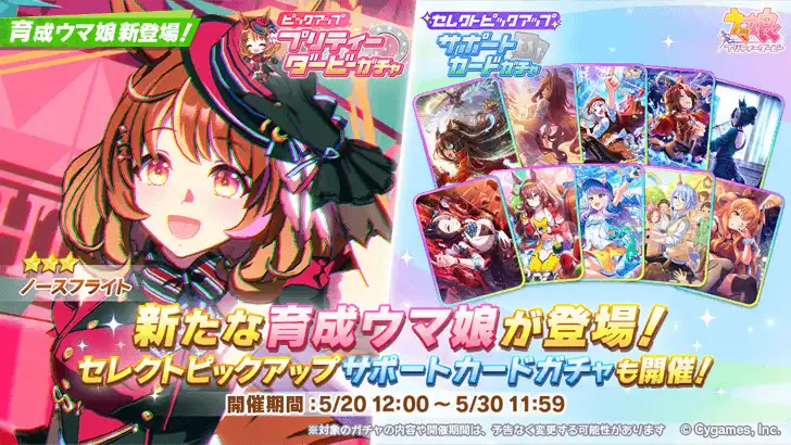 North Flight Uma Musume banner
