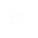 공명 해방 컬러 스프레이 폭발