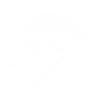 고유 스킬 영원히 빛바래지 않는 색채!