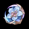生の花
