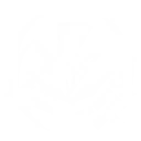 찰나의 반짝임을 위하여