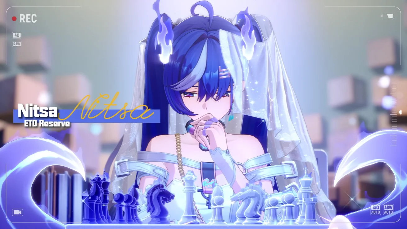 NTE Nitsa