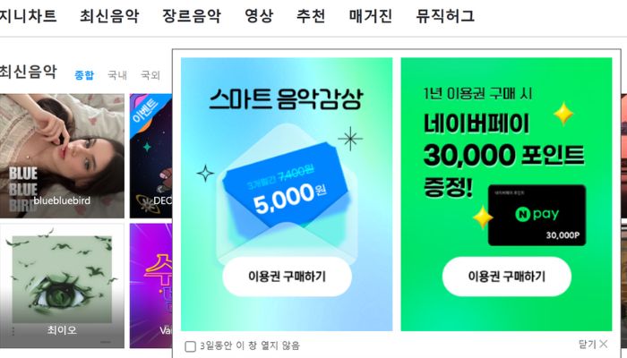 음악 사이트
