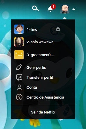 cartão netflix