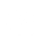 S1
