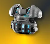 생체 보조 중갑