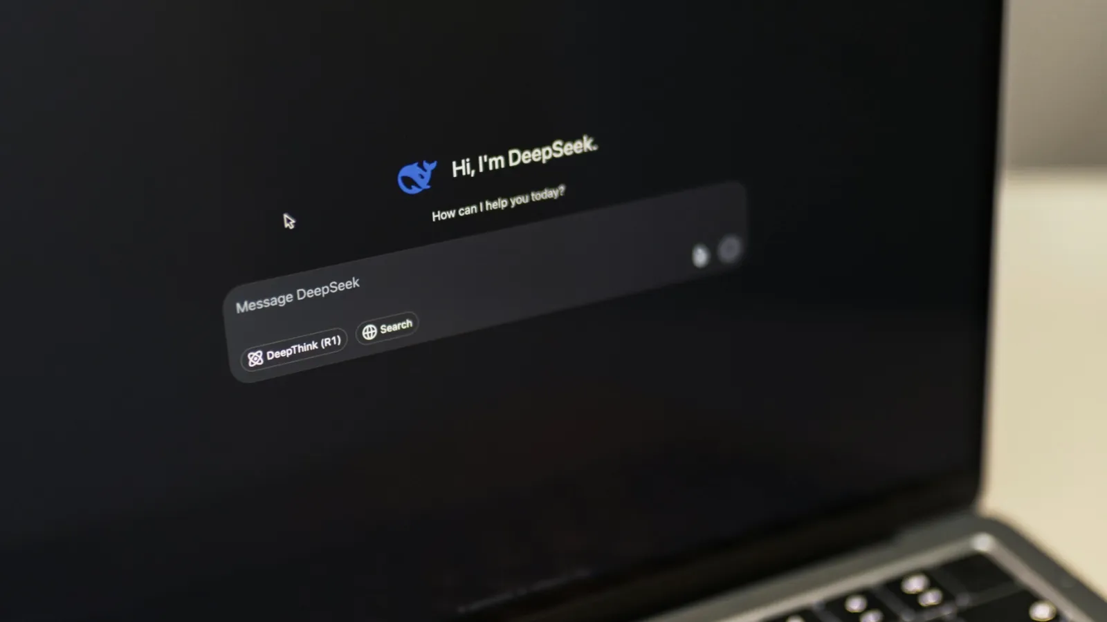 DeepSeek chat