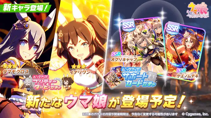 Festival Tamamo Cross and Festival Inari One banner