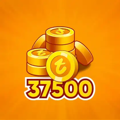 37500 Pièces
