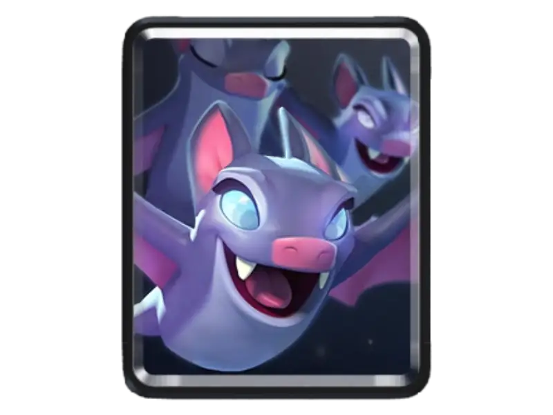 Bats