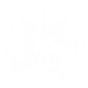 자유롭게 그리는 미래