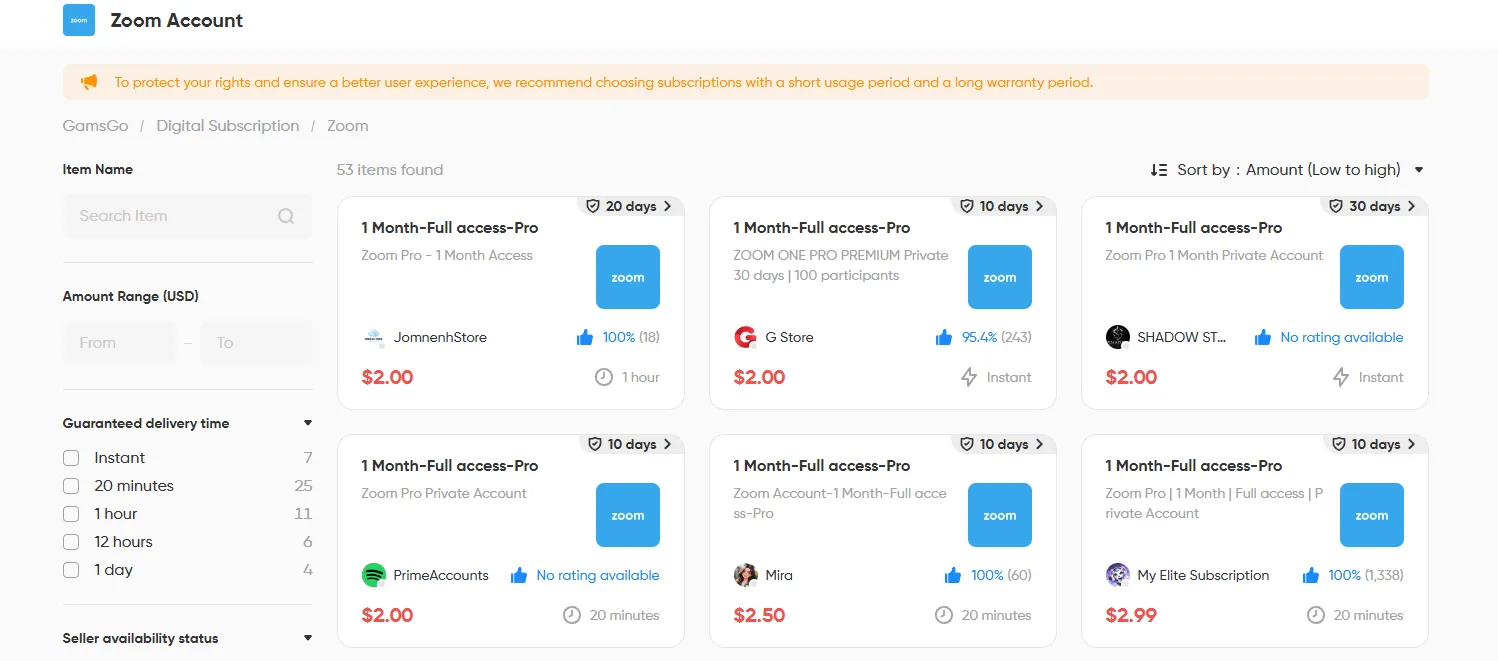 Zoom Pro discount