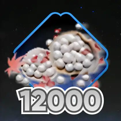 12000 Echo 珠子