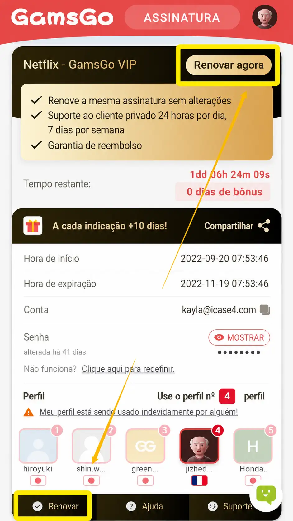renovação Netflix