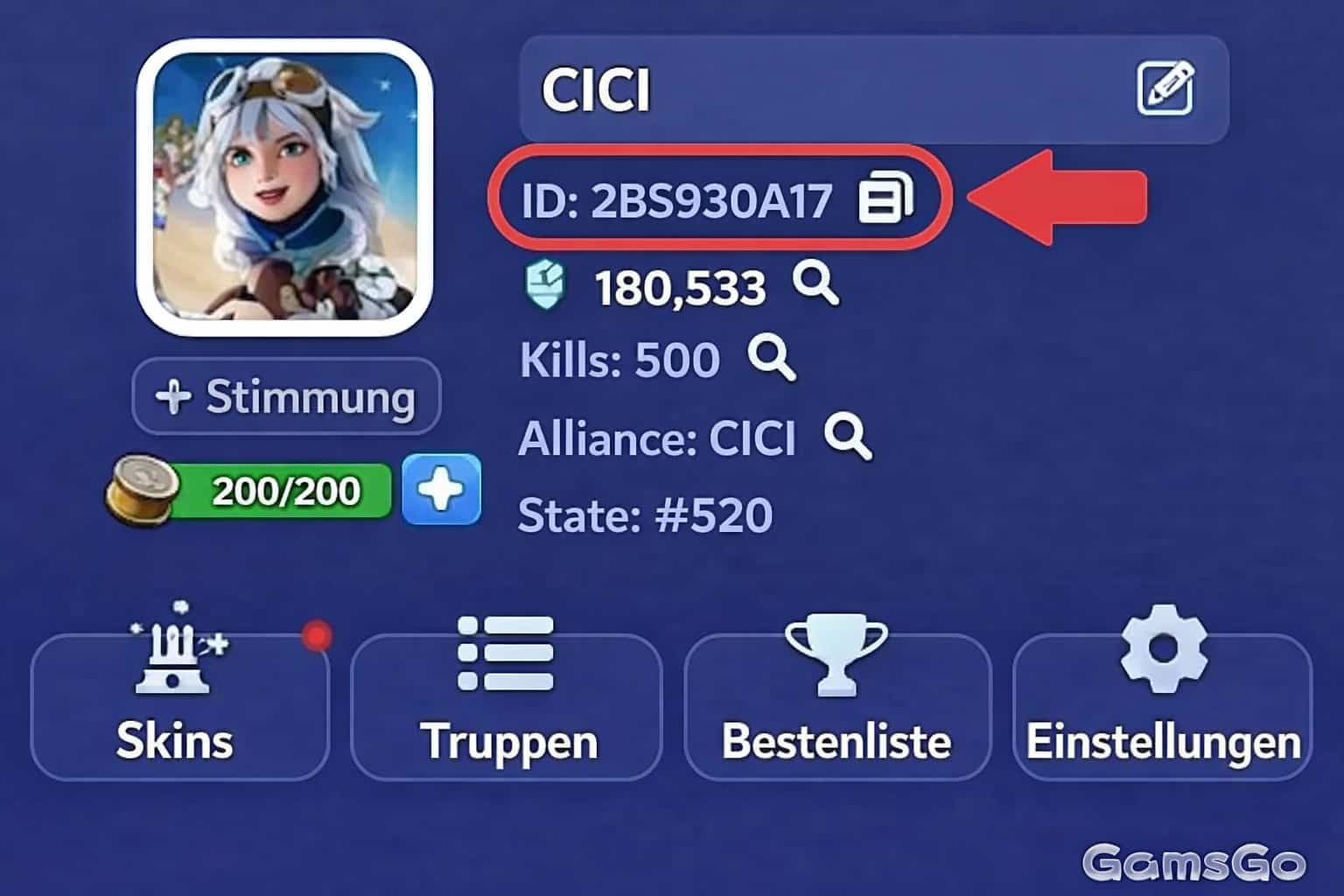 Player ID im Profil finden