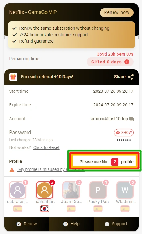 GamsGo subscription details showing assigned profile number