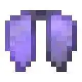 Elytra - DonutSMP | Fast delivery